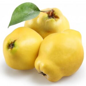 Marmelo